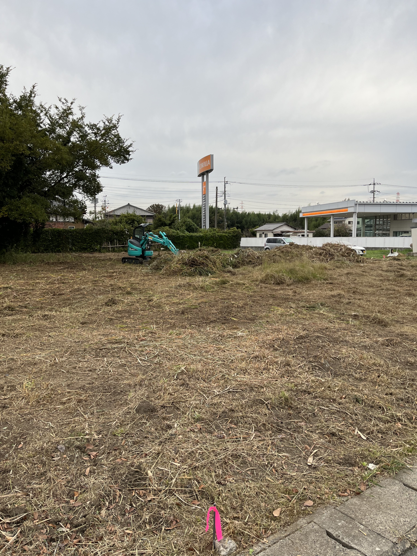 除草・伐根作業　
